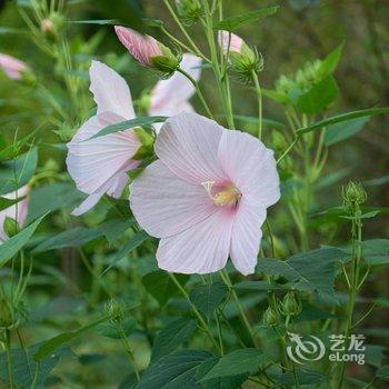 重庆西池田园酒店酒店提供图片