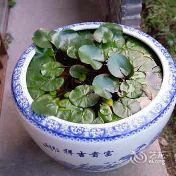 重庆西池田园酒店酒店提供图片