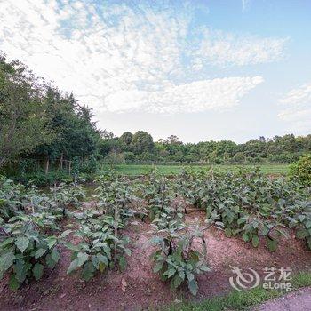 重庆西池田园酒店酒店提供图片