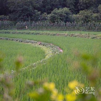 重庆西池田园酒店酒店提供图片