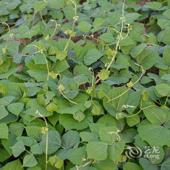 重庆西池田园酒店酒店提供图片