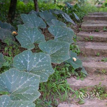 重庆西池田园酒店酒店提供图片