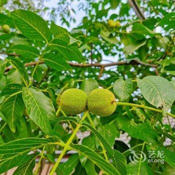 花筑·泰山宽舍客栈(红门登山口店)酒店提供图片