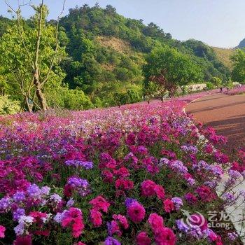 杭州千岛湖知音民宿(大柘坞村分店)酒店提供图片