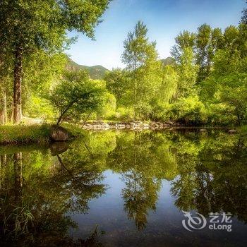 北京自游自在汽车文化主题民宿(龙庆峡店)酒店提供图片