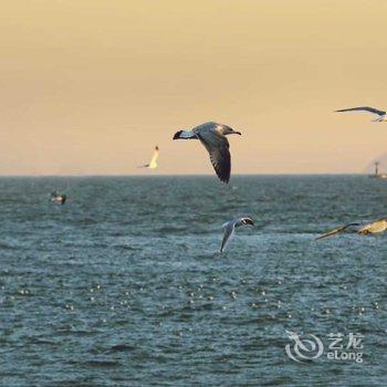 青岛恩泽公寓酒店提供图片