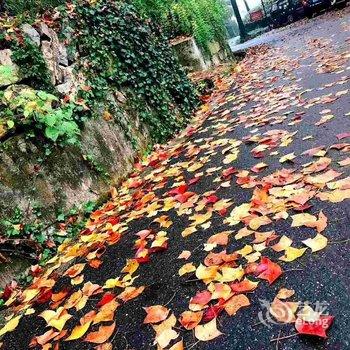 临安古树枫林民宿(指南村店)酒店提供图片