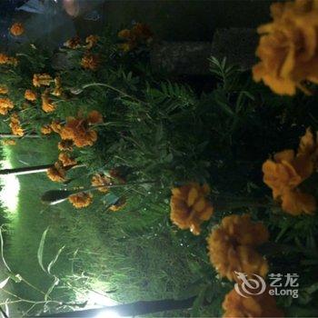 天台花涧水墨民宿酒店提供图片