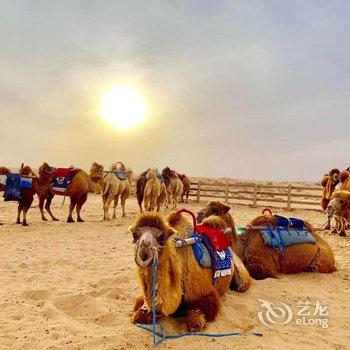 沙坡头星月国际露营基地酒店提供图片