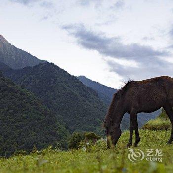 理县吉祥藏家客栈酒店提供图片