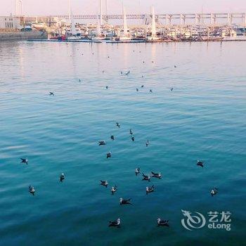 大连晴海假日酒店提供图片