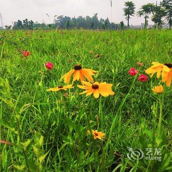 大邑孺子牛悦活天地度假中心酒店提供图片