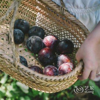 北京山今宿民宿酒店提供图片