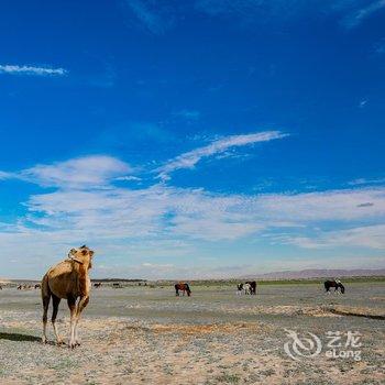 沙坡头星月国际露营基地酒店提供图片