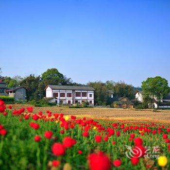 重庆佳源星光酒店(永川高铁站奥特莱斯店)酒店提供图片