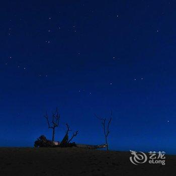 沙坡头星月国际露营基地酒店提供图片