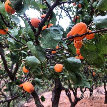 北京本土人家农家院酒店提供图片