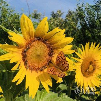 北京本土人家农家院酒店提供图片