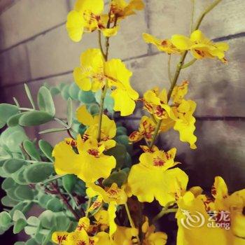 北京红日路四合院酒店提供图片