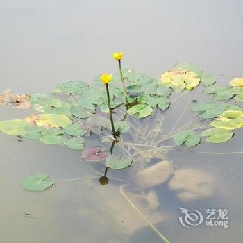 红山堂茶庄酒店提供图片