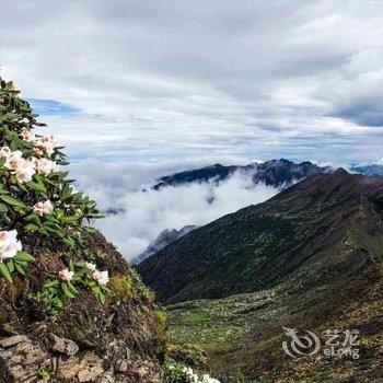 大理蝶海月·苍山度假别墅酒店酒店提供图片