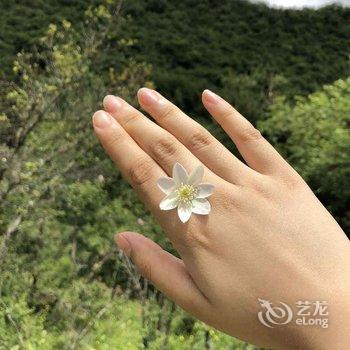 理县吉祥藏家客栈酒店提供图片