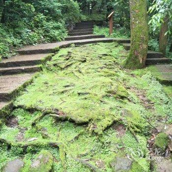 天目山芯园山庄酒店提供图片