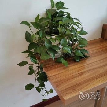 无锡东华格林酒店酒店提供图片