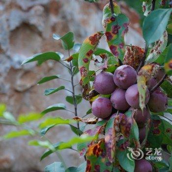 北京如域哲里精品度假山庄酒店提供图片