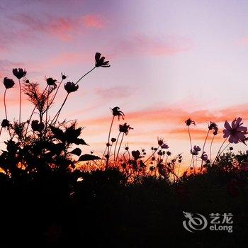 布尔津小城故事度假酒店酒店提供图片