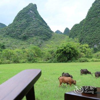 阳朔万相·青谷酒店酒店提供图片