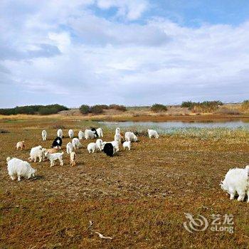 额济纳旗沙日淖尔水库牧家游民宿酒店提供图片