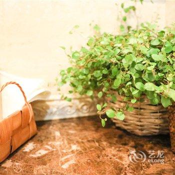西安迷雾森林一个设计师的美式乡村民宿酒店提供图片