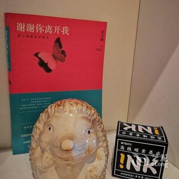 西安迷雾森林一个设计师的美式乡村民宿酒店提供图片