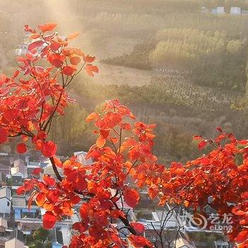 北京伴月山舍民宿酒店提供图片