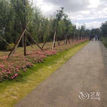 大理青苔海景客栈酒店提供图片