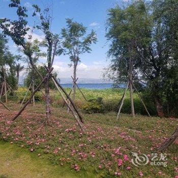 大理青苔海景客栈酒店提供图片