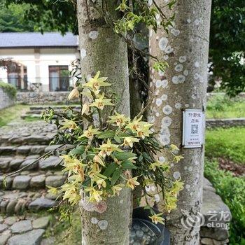 花筑·建德罗隐山居民宿酒店提供图片