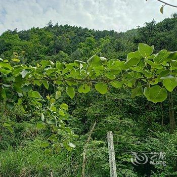 花筑·建德罗隐山居民宿酒店提供图片