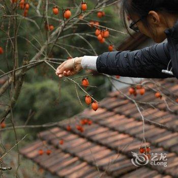 花筑·建德罗隐山居民宿酒店提供图片