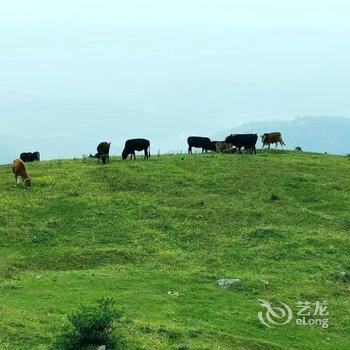 肇兴侗寨自在.山居野奢连锁客栈酒店提供图片