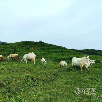 肇兴侗寨自在.山居野奢连锁客栈酒店提供图片