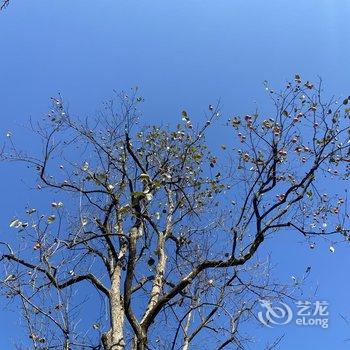 花筑·建德罗隐山居民宿酒店提供图片