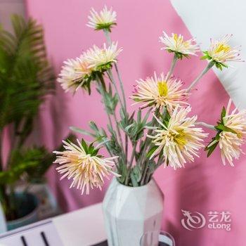 青岛路客精品民宿BG0300酒店提供图片