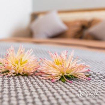 青岛路客精品民宿BG0300酒店提供图片