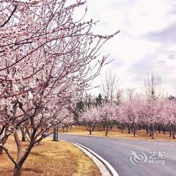 北京雁栖岛国宾别墅酒店提供图片