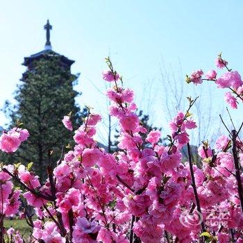 北京雁栖岛国宾别墅酒店提供图片