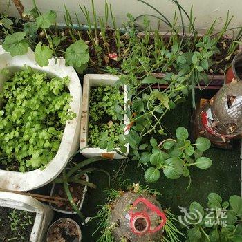 成都自由度太空舱青年旅舍酒店提供图片