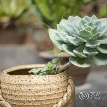 花筑·海韵花园海景客栈(鼓浪屿三丘田码头店)酒店提供图片