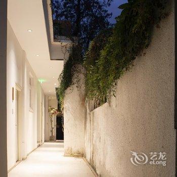 花筑·海韵花园海景客栈(鼓浪屿三丘田码头店)酒店提供图片